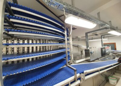 Spiral Conveyor